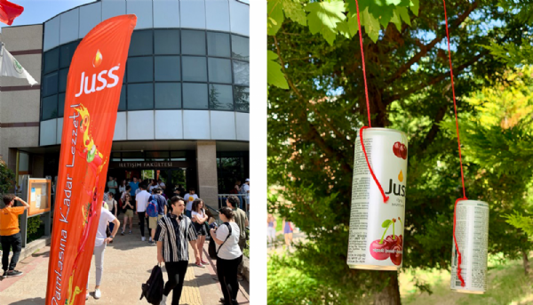 Trees at Kocaeli University opened Juss