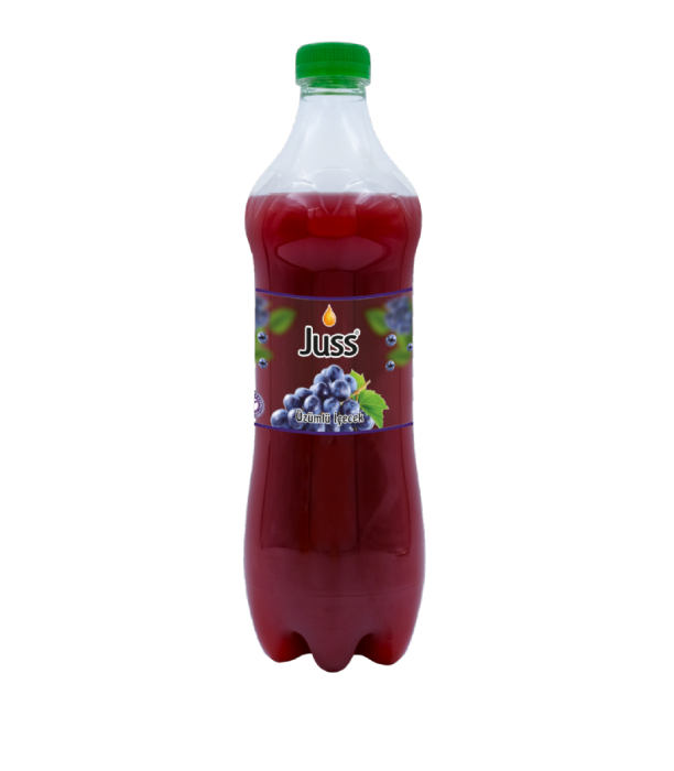 ÜZÜMLÜ İÇECEK 1 LT PET 1