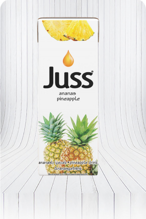 ANANAS MEYVELİ İÇECEK 200 ML TETRAPAK 