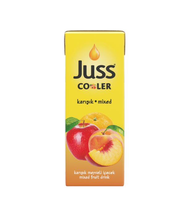 MIXED FRUIT DRINK 200 ML TETRAPAK 1