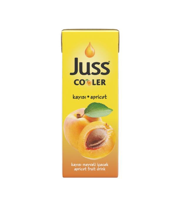 COOLER APRICOT FRUIT DRINK 200 ML TETRAPAK1