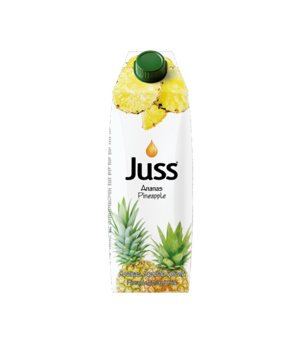 ANANAS MEYVE SUYU 1 LT TETRAPAK1